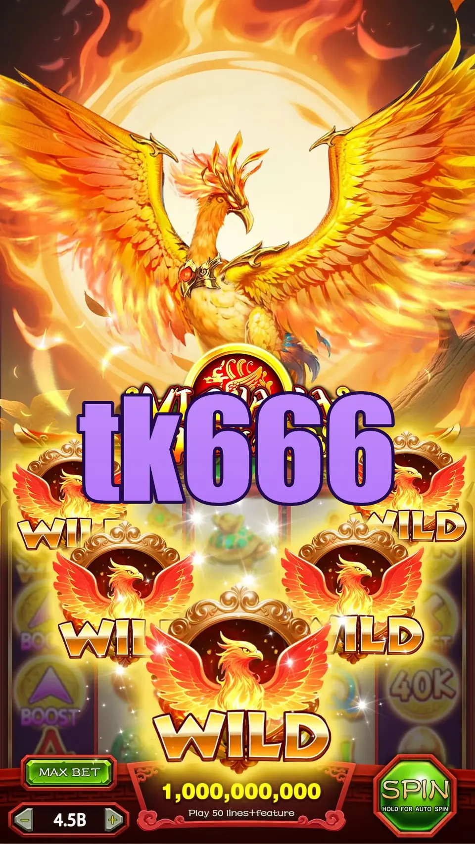 tk666 লগইন